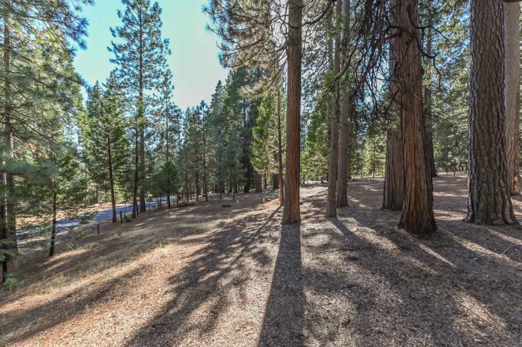 main property photo 60
