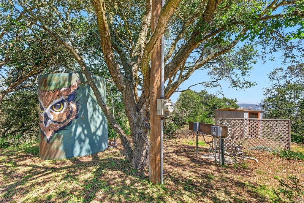 main property photo 58
