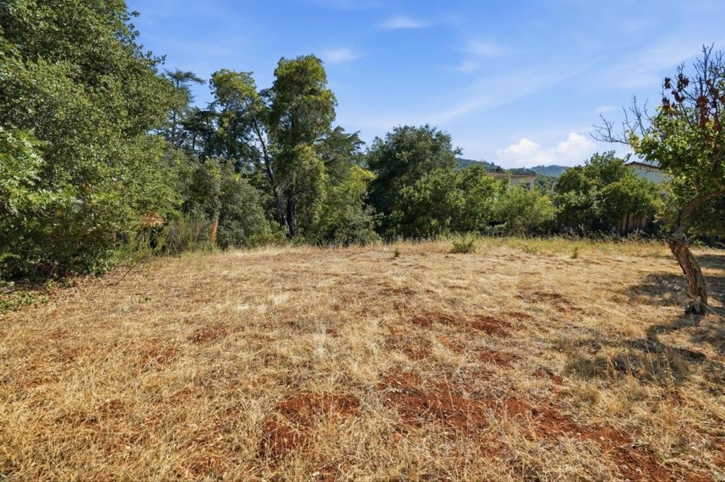 main property photo 74