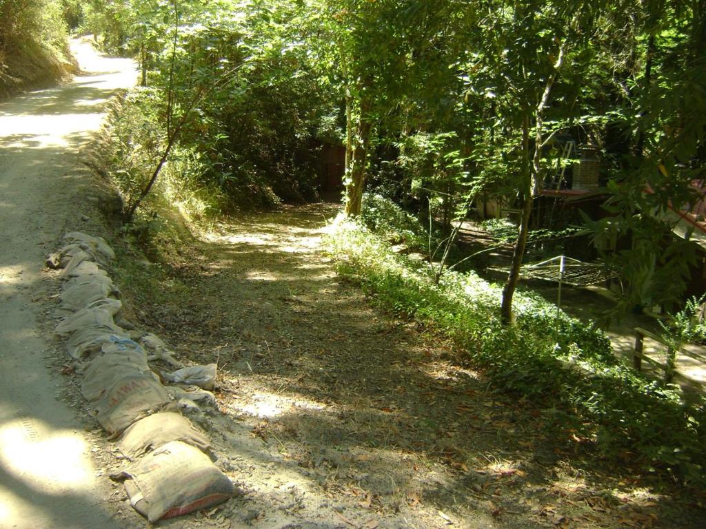 main property photo 37