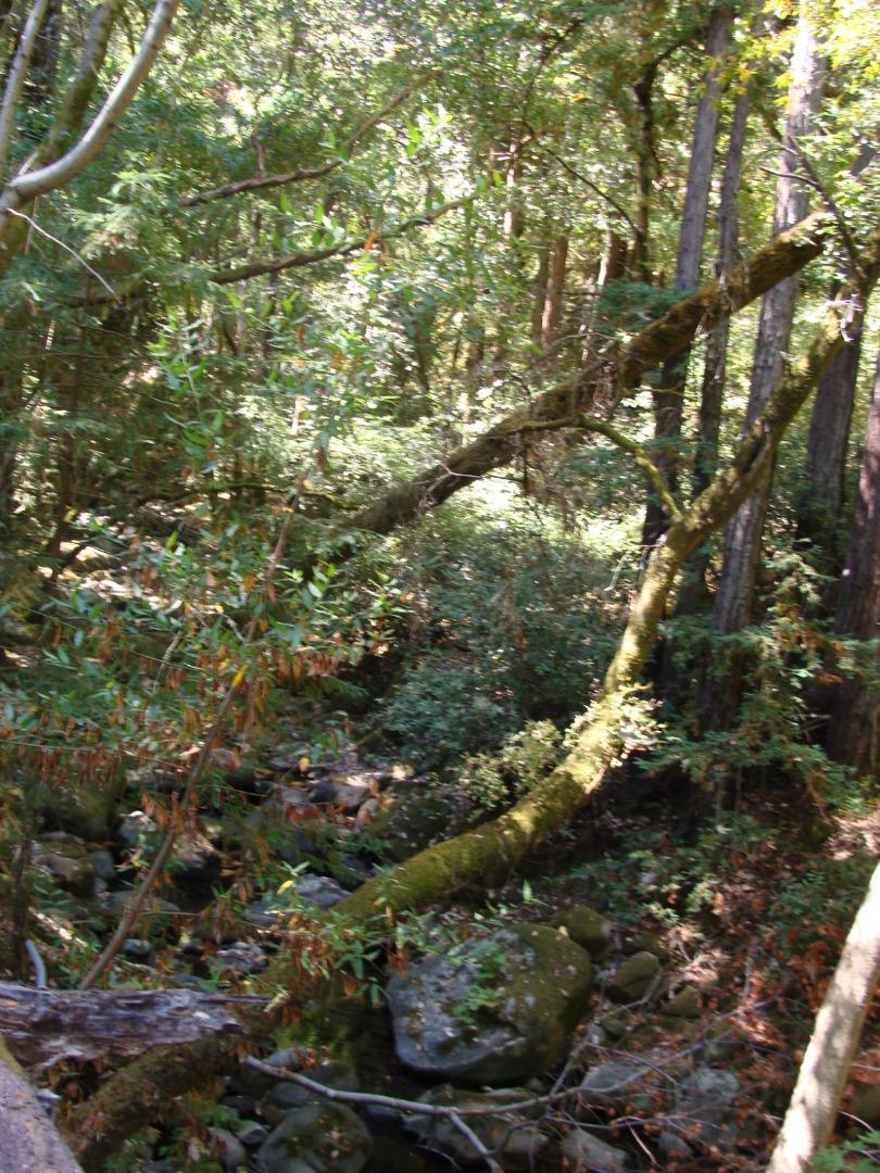 main property photo 48