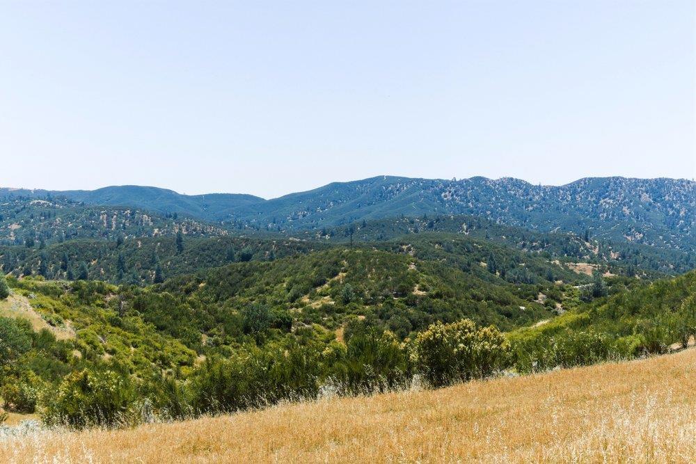 main property photo 72