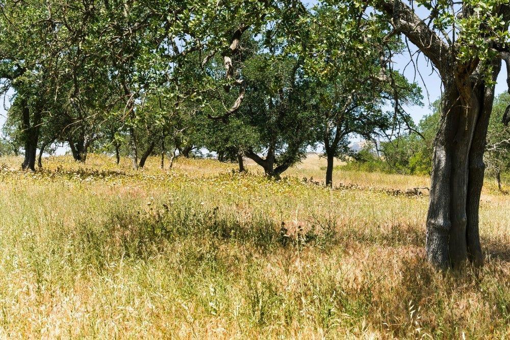 main property photo 76