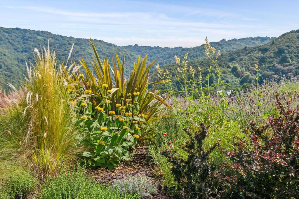 main property photo 58