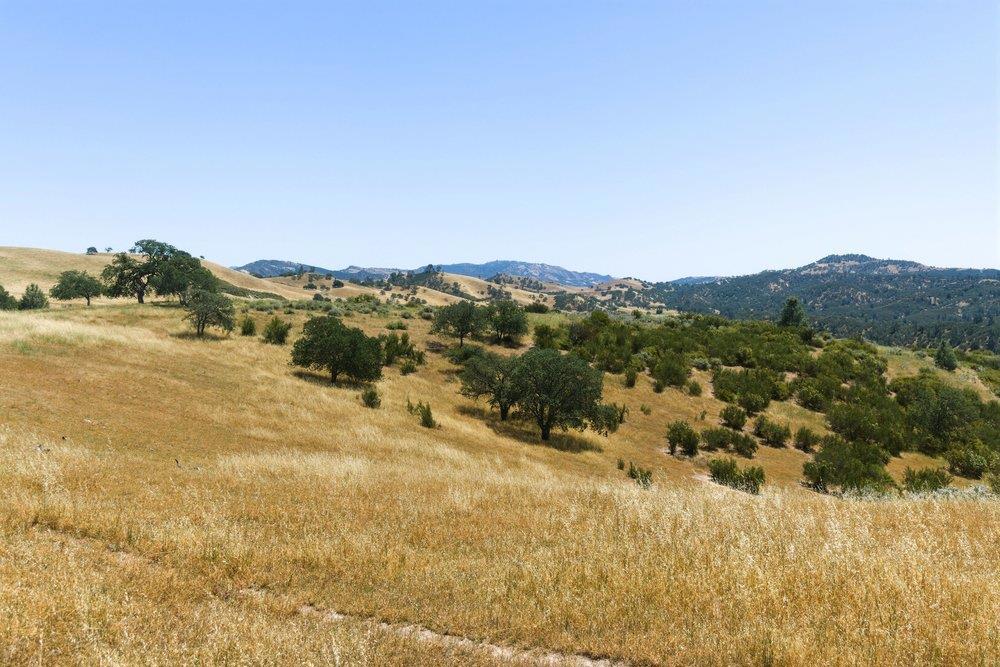 main property photo 71