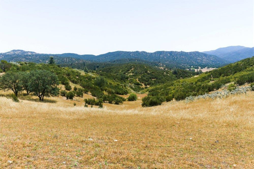 main property photo 78