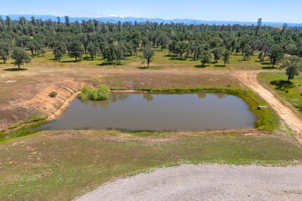 main property photo 74