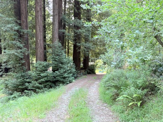 main property photo 8