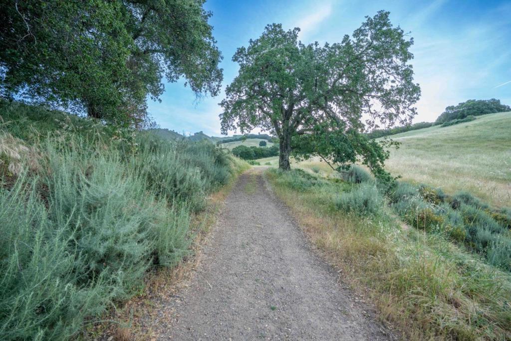 main property photo 55