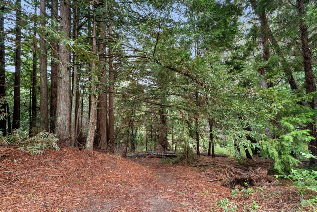 main property photo 72
