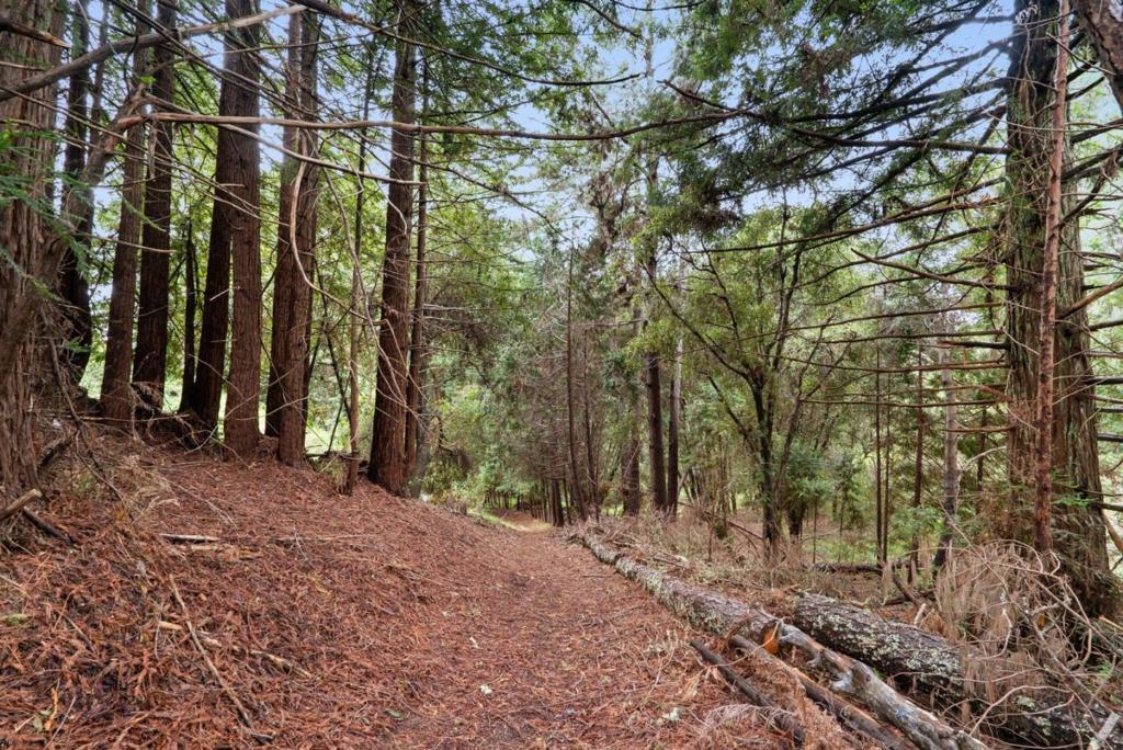 main property photo 73