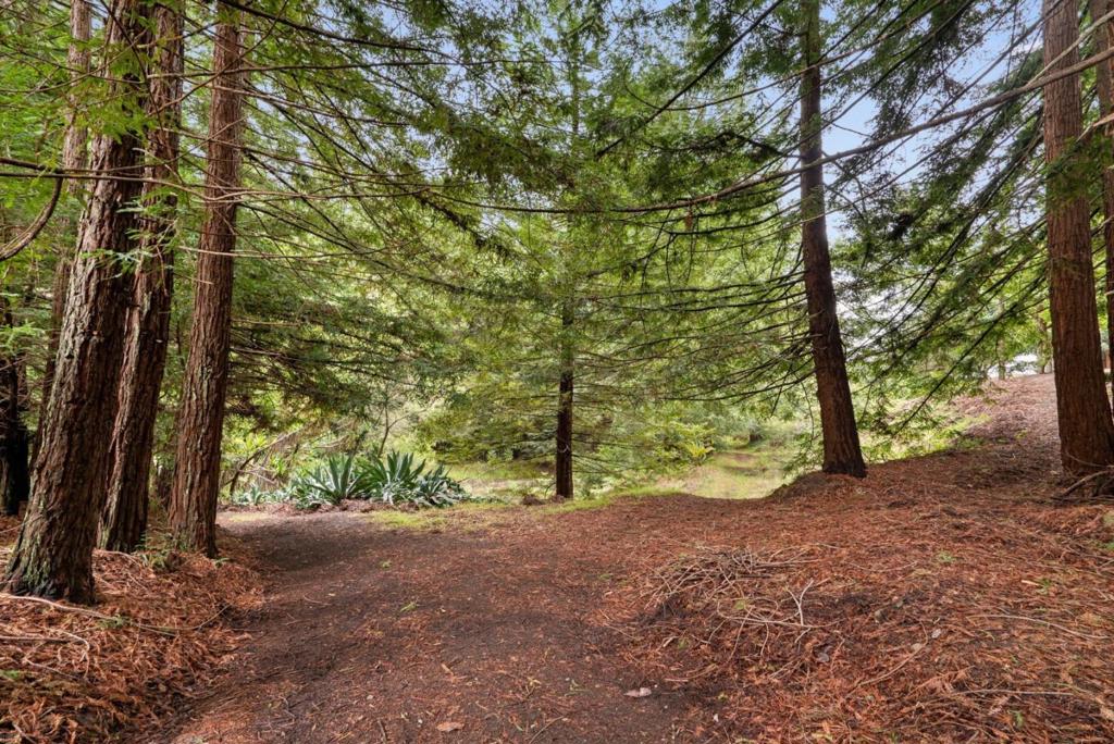 main property photo 74