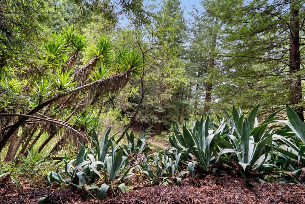 main property photo 75
