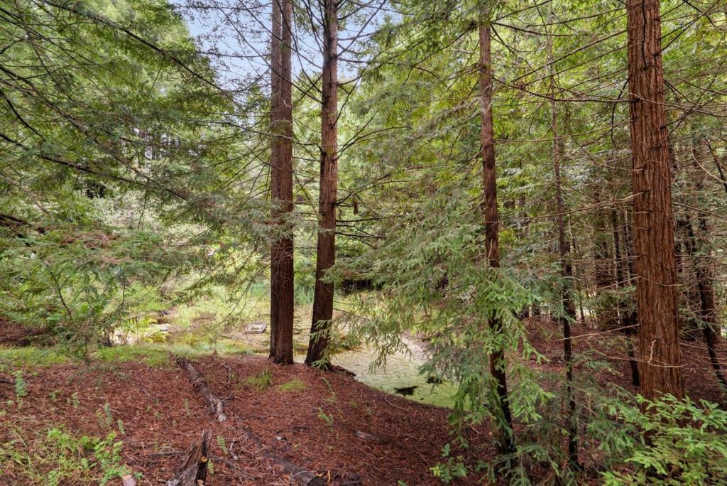 main property photo 76