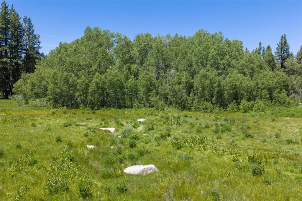 main property photo 91