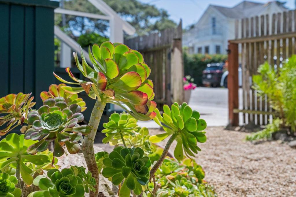 main property photo 66