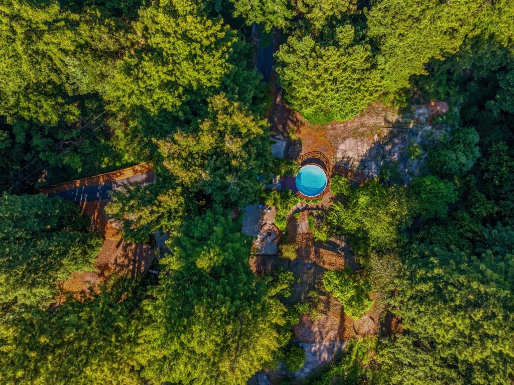 main property photo 54