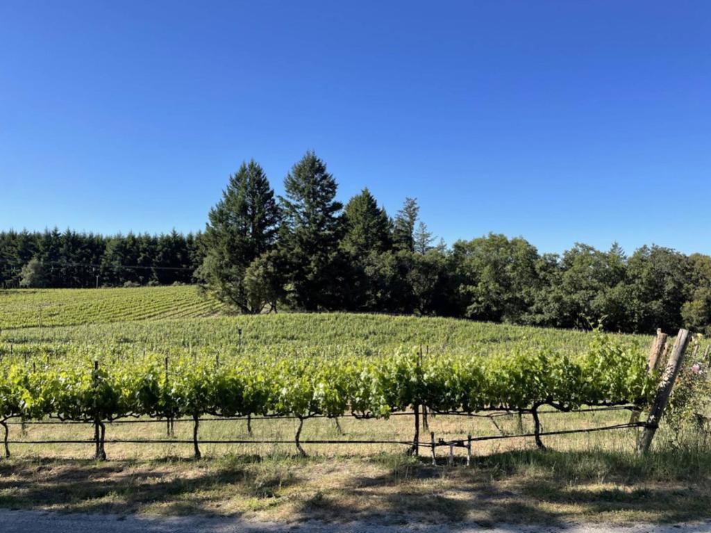 main property photo 19