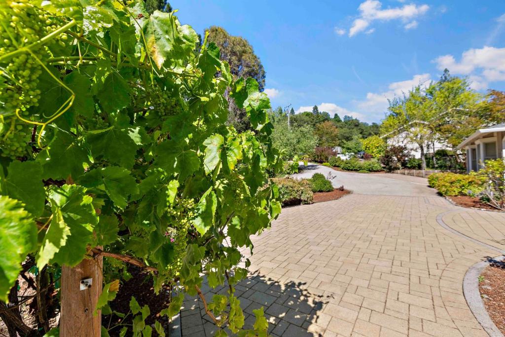 main property photo 91