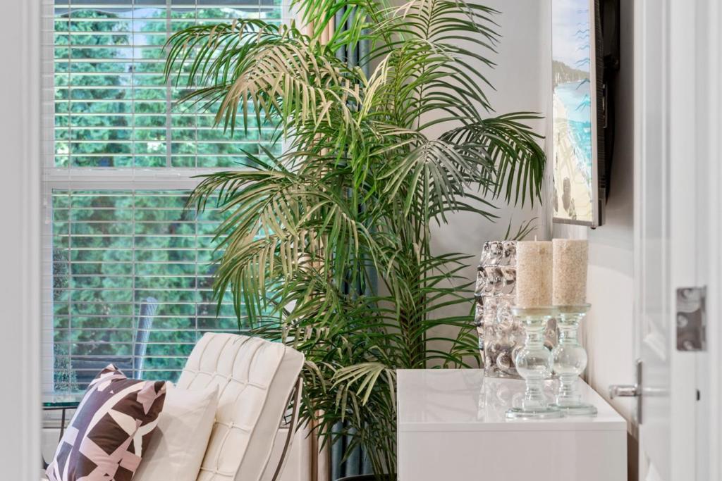 main property photo 68