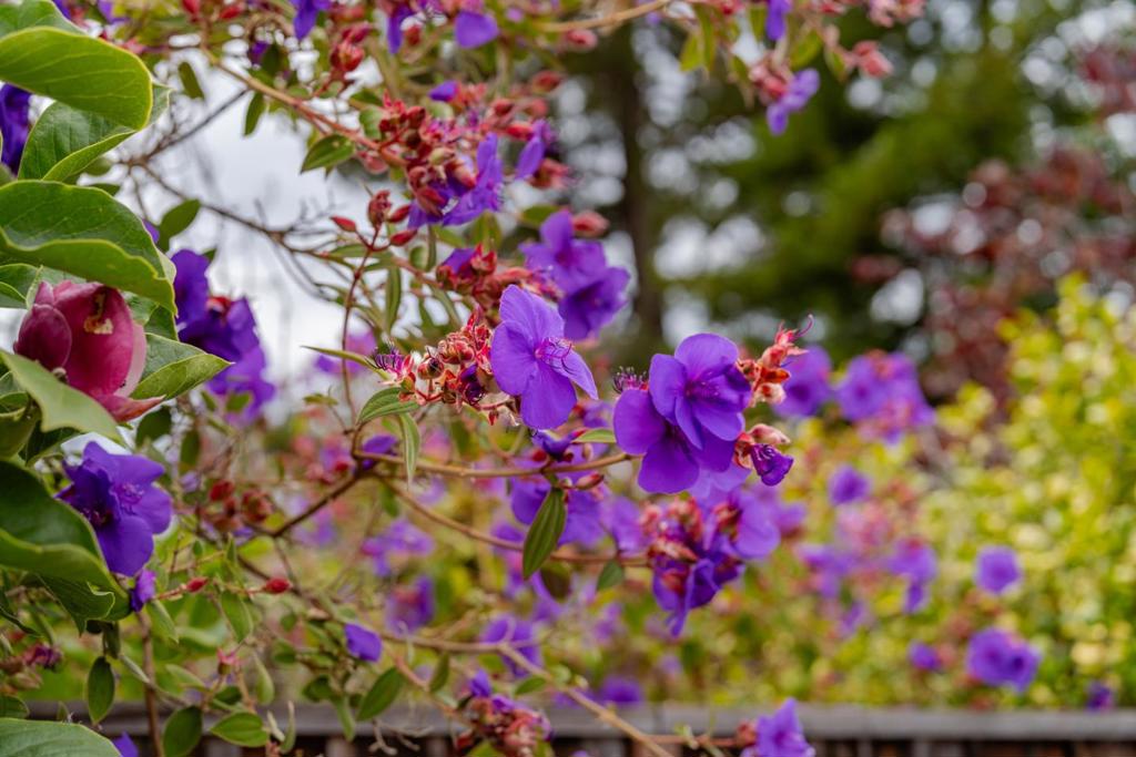 main property photo 79