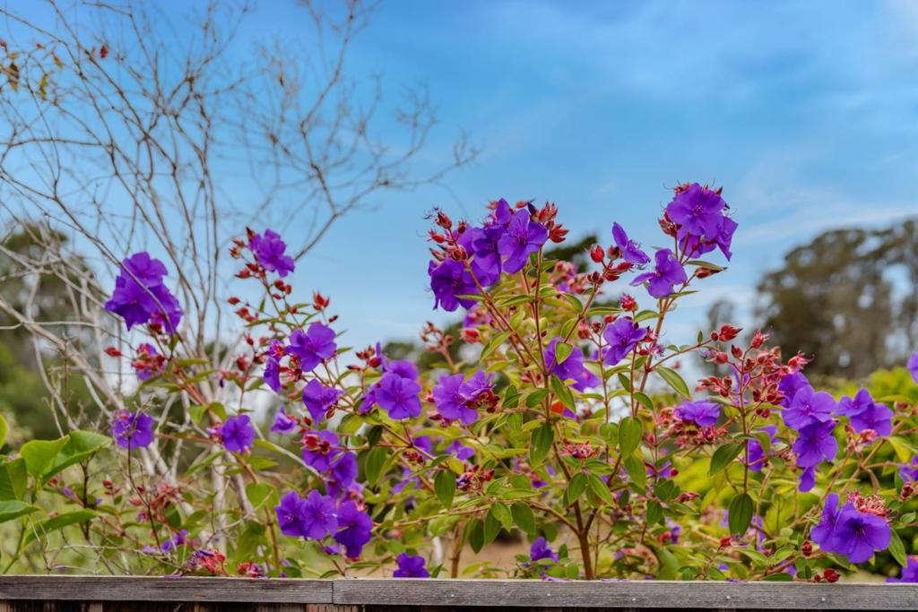 main property photo 80