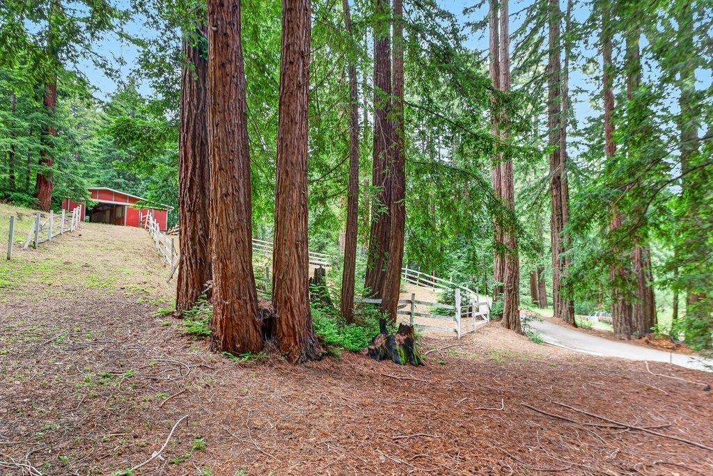 main property photo 64