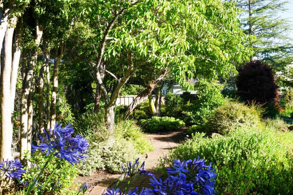 main property photo 66