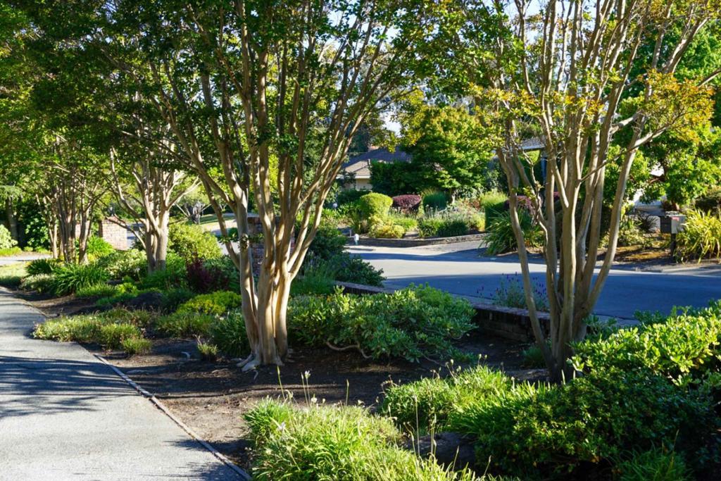 main property photo 75