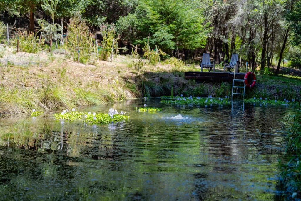 main property photo 81