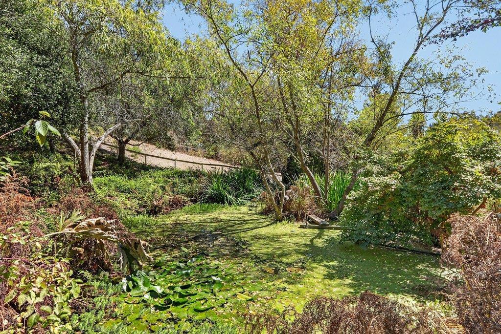 main property photo 62