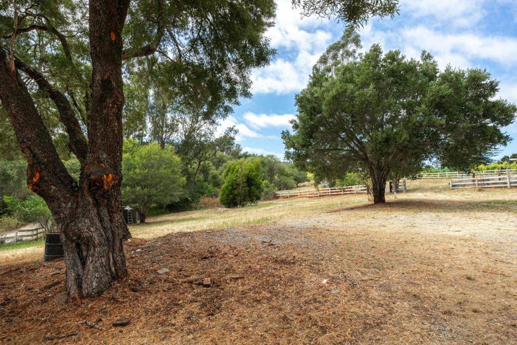 main property photo 64