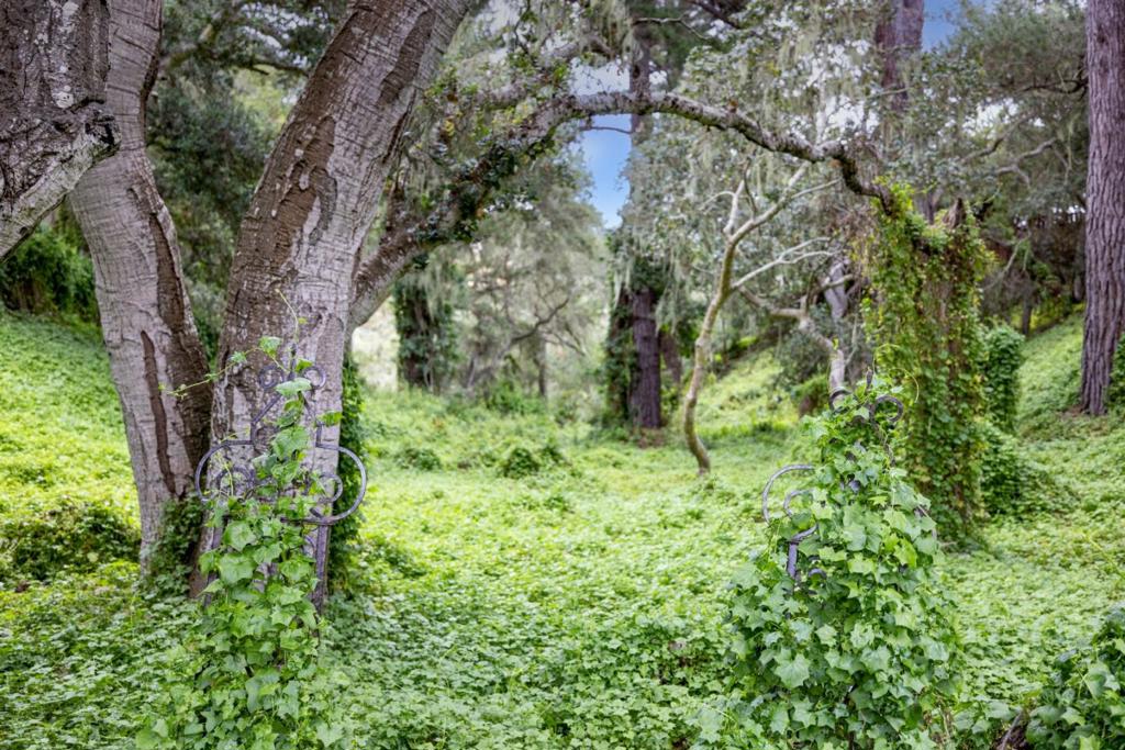 main property photo 58