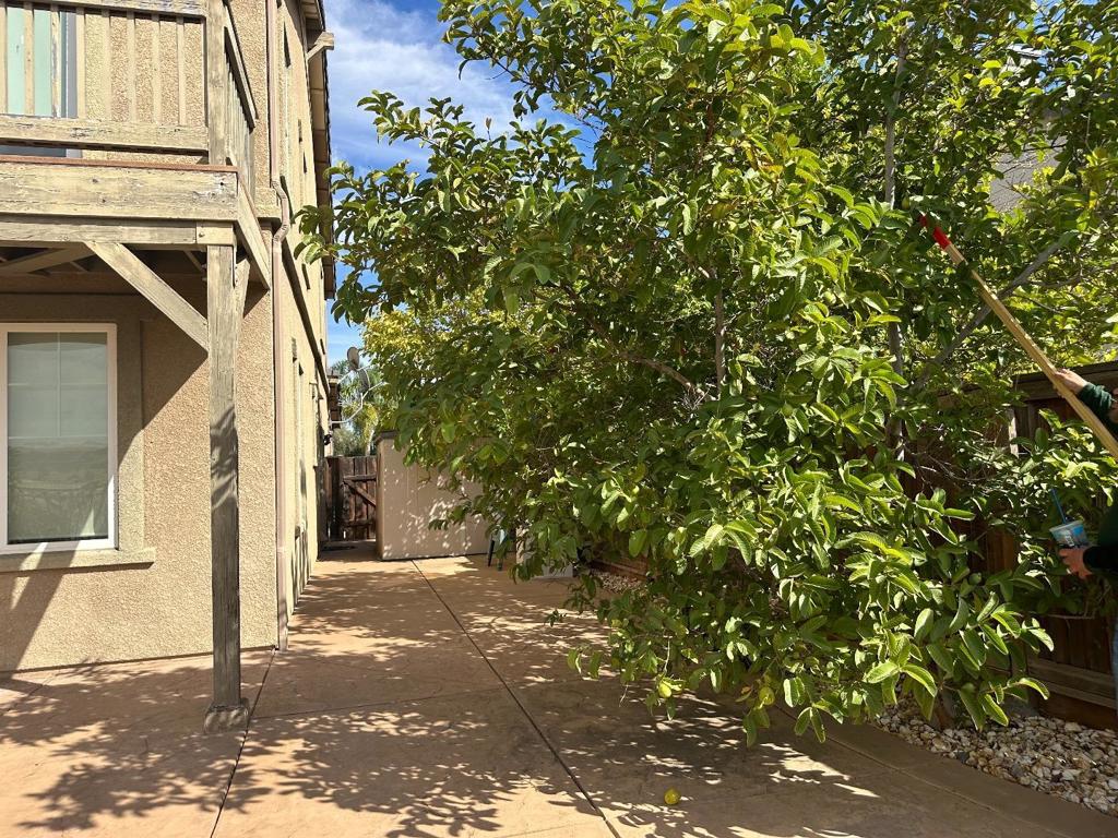 main property photo 11