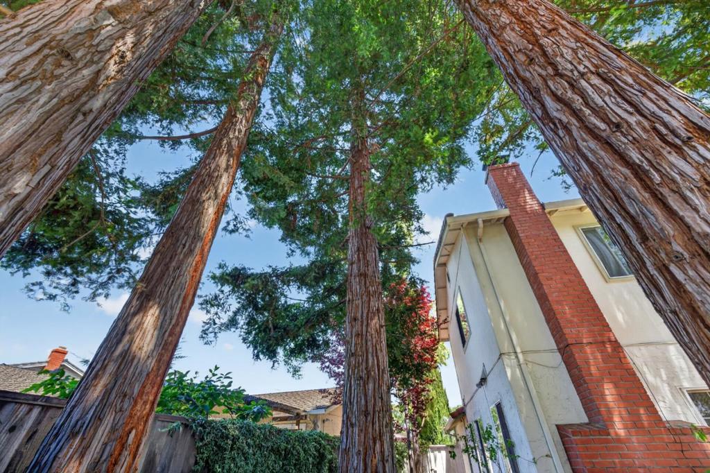 main property photo 72