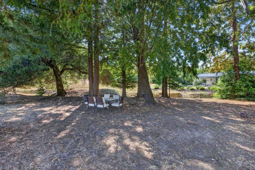 main property photo 98