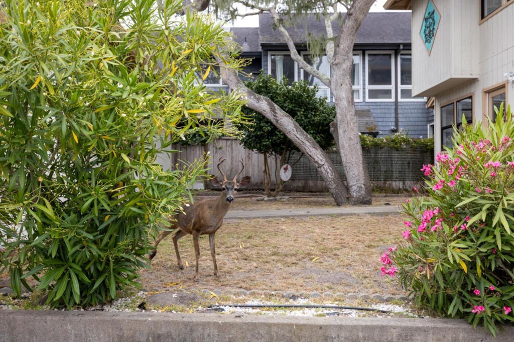 main property photo 53