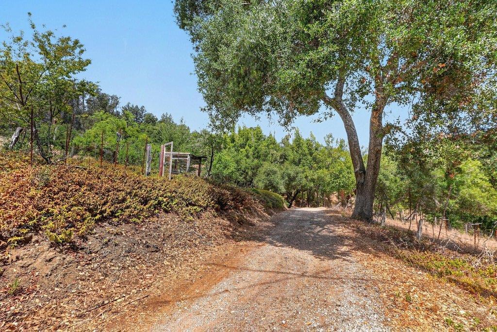 main property photo 50