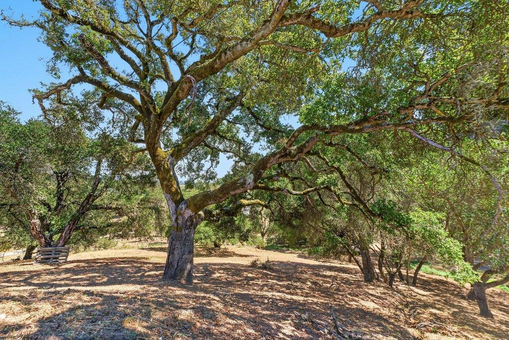 main property photo 74