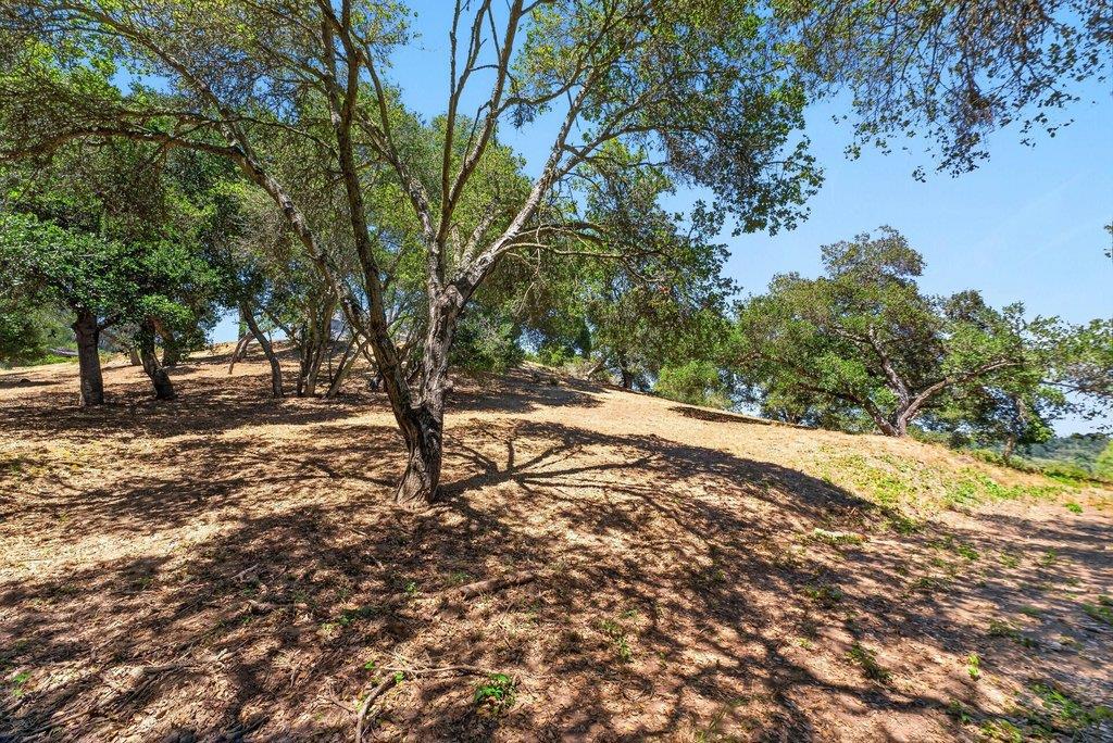 main property photo 77