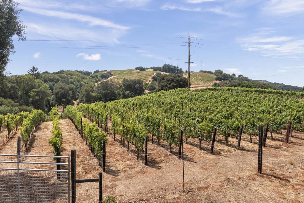 main property photo 75