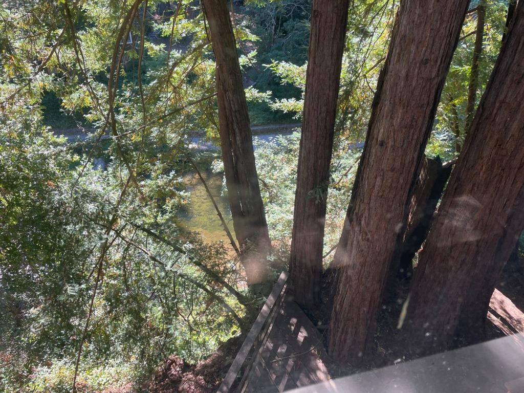 main property photo 48