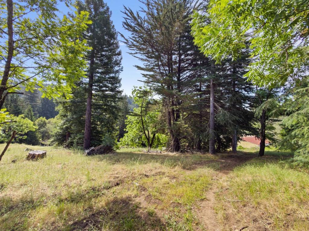 main property photo 62