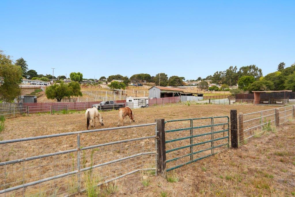 main property photo 52