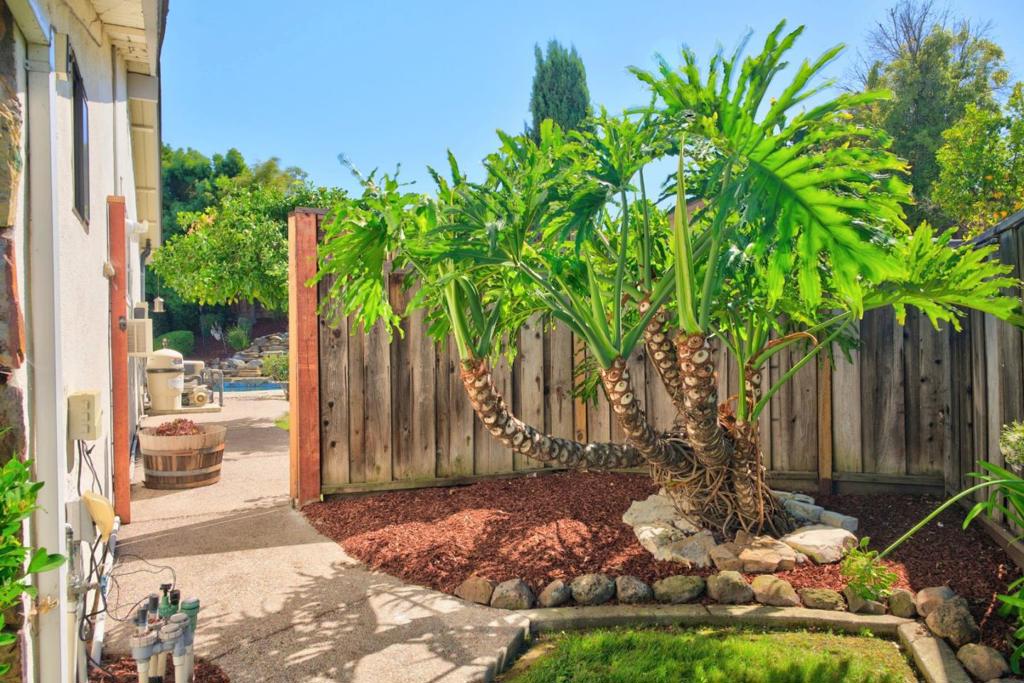 main property photo 61