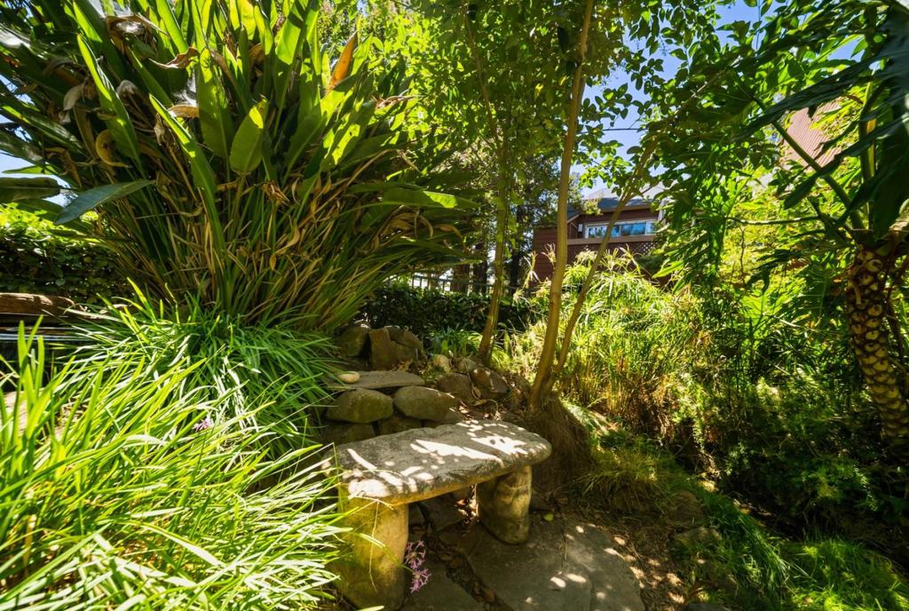 main property photo 55