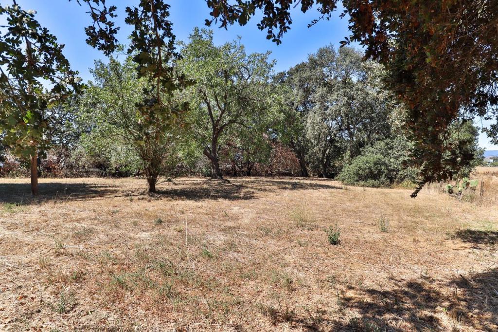 main property photo 94