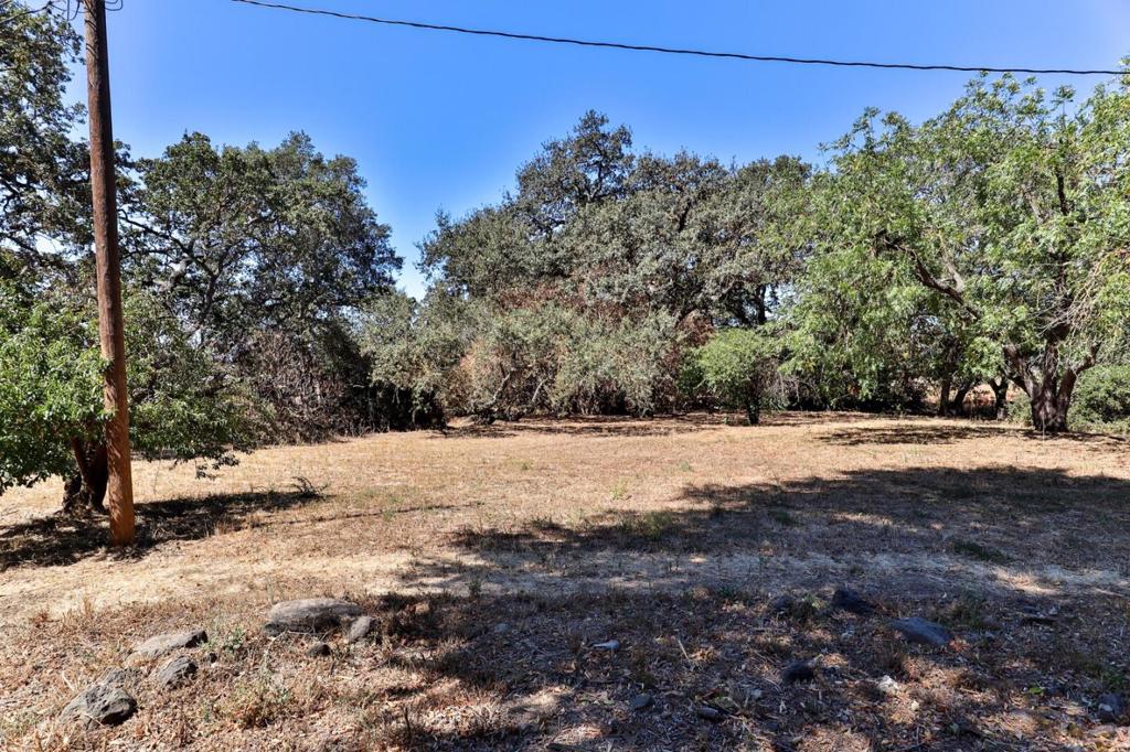 main property photo 95