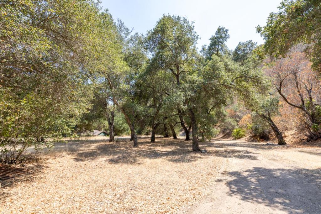 main property photo 54