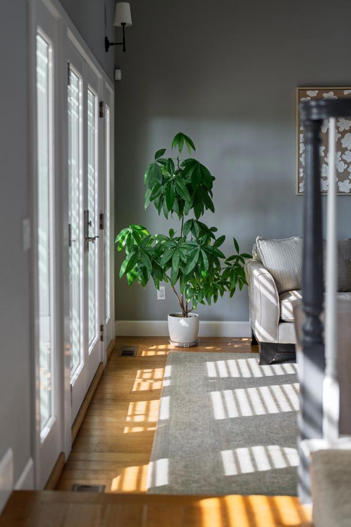 main property photo 63